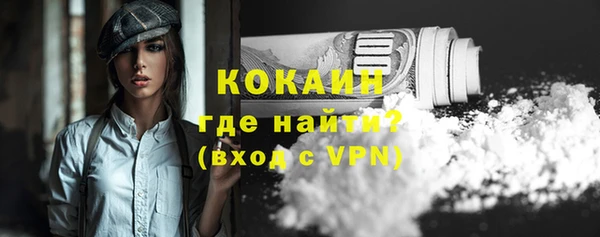 прущие грибы Беломорск