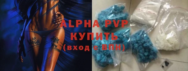 прущие грибы Беломорск