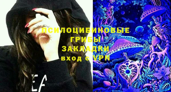 прущие грибы Беломорск
