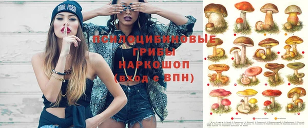 прущие грибы Беломорск