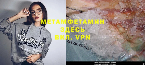 прущие грибы Беломорск