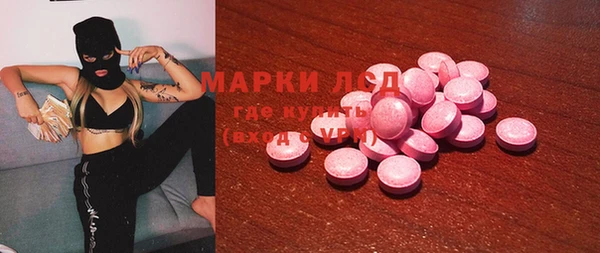 прущие грибы Беломорск
