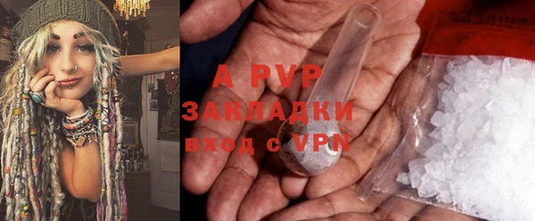 прущие грибы Беломорск
