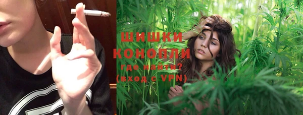 прущие грибы Беломорск